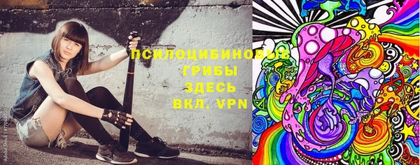 mix Вяземский