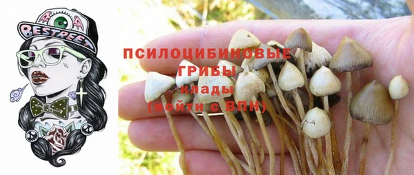 бошки Рославль