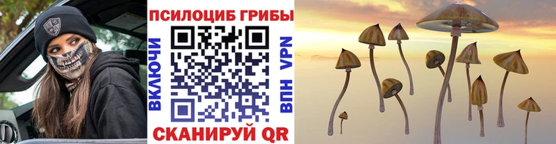 Псилоцибиновые грибы мицелий  Купить закладки  Верхоянск 